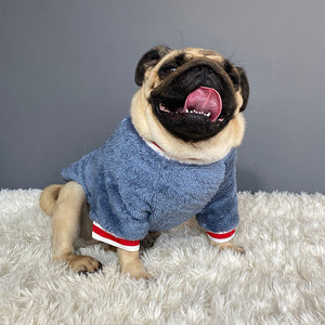 Keep Your Furry Friend Cozy with Our Cotton Pet Sweater
