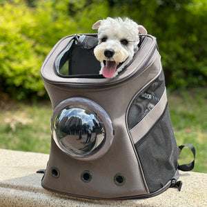 Discover the Ultimate Travel Companion for Your Pet