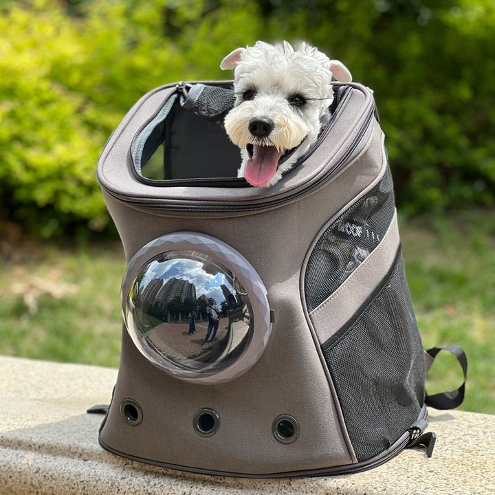 Discover the Ultimate Travel Companion for Your Pet