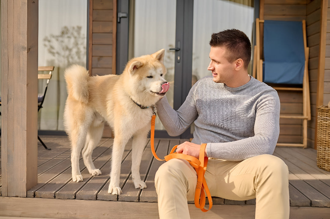 Choosing the Perfect Pet Leash Easily