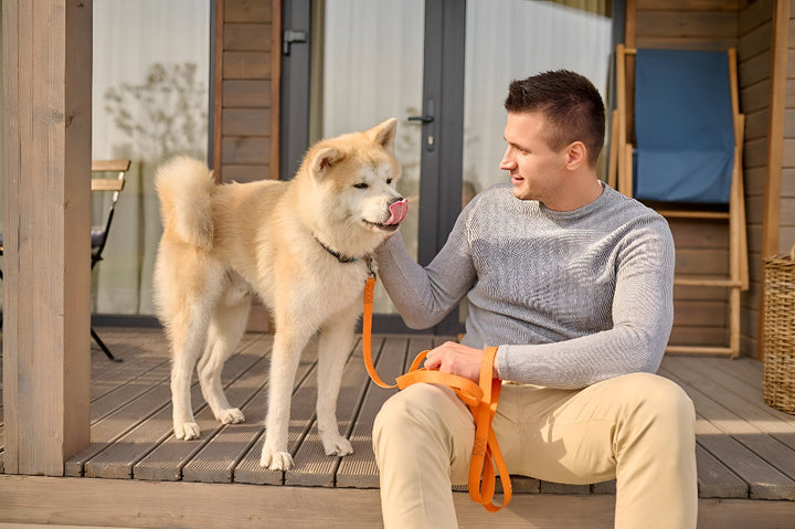 Choosing the Perfect Pet Leash Easily