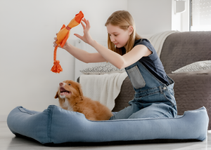 Why Fun Toys Keep Pets Happy