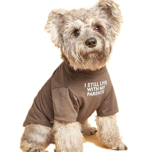 Novelty Pet T-Shirt