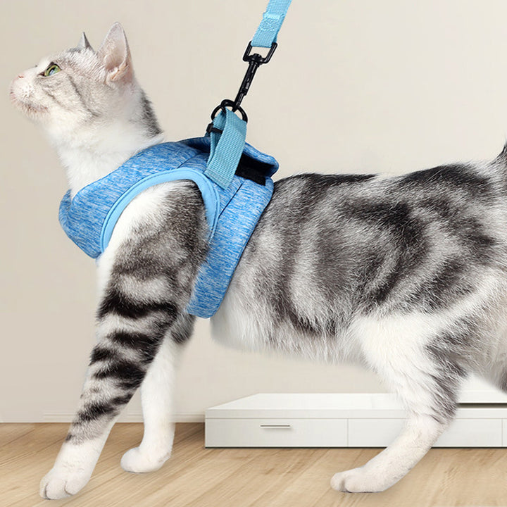 Breathable Lightweight Pet Lace Chest Strap Control Leash