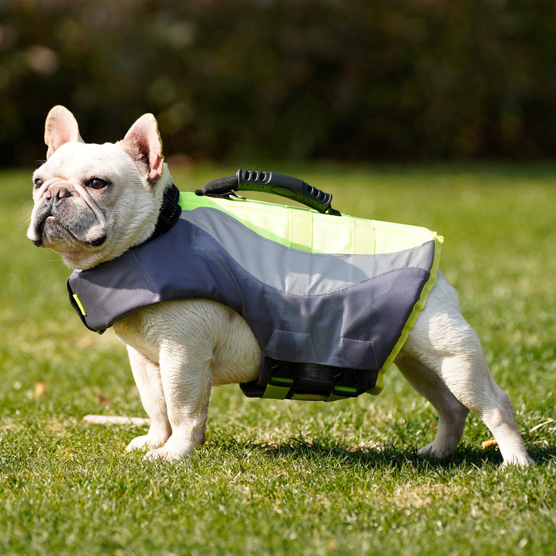 Pet Safety Reflective Life Vest Jacket