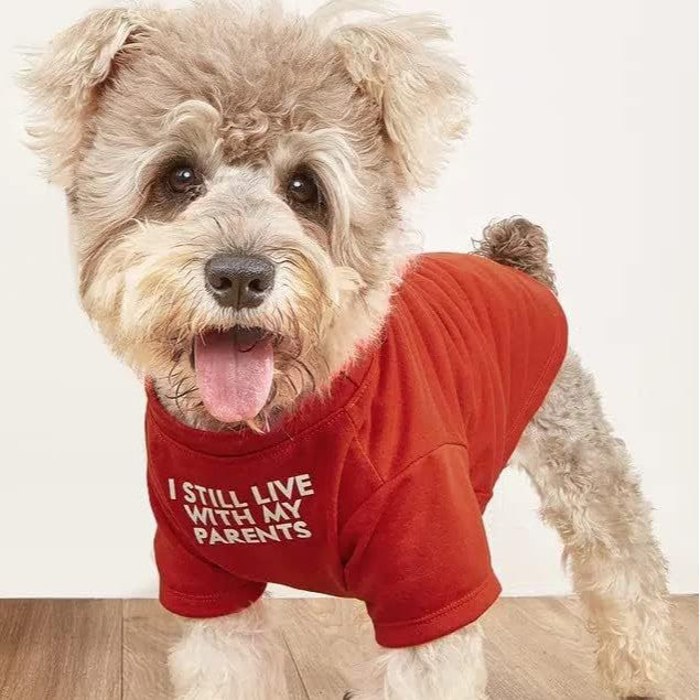 Novelty Pet T-Shirt