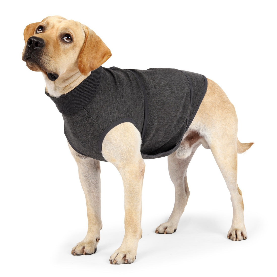 Comfort-fit Double Layer Pet Jacket