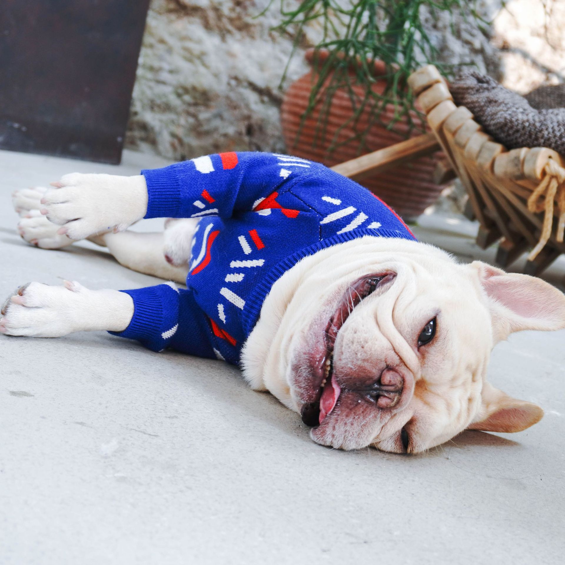 FILA Pet Sweater