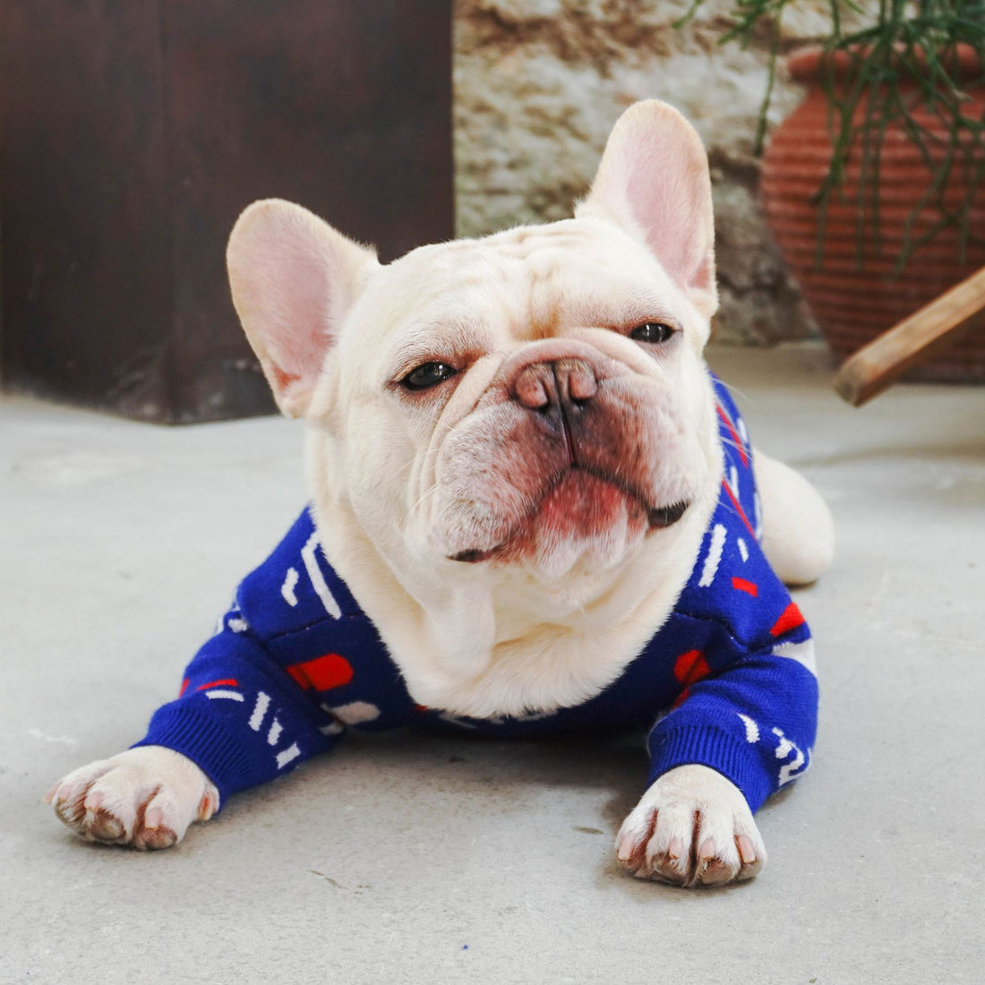 FILA Pet Sweater