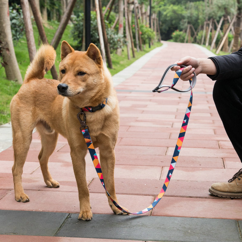 Durable Adjustable Pet Dog Control Leash Accessories