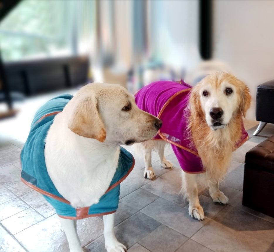 Pet Quick Dry Absorbent Bath Towel Clothing Set