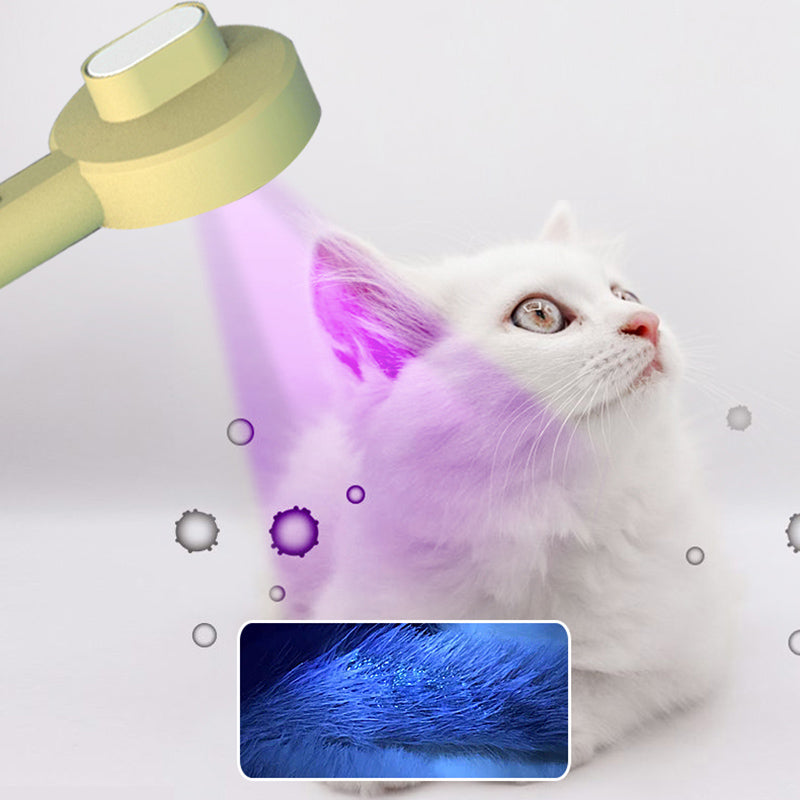 Pet 2 In 1 Grooming Comb UVC Detection Hair Remover Brush