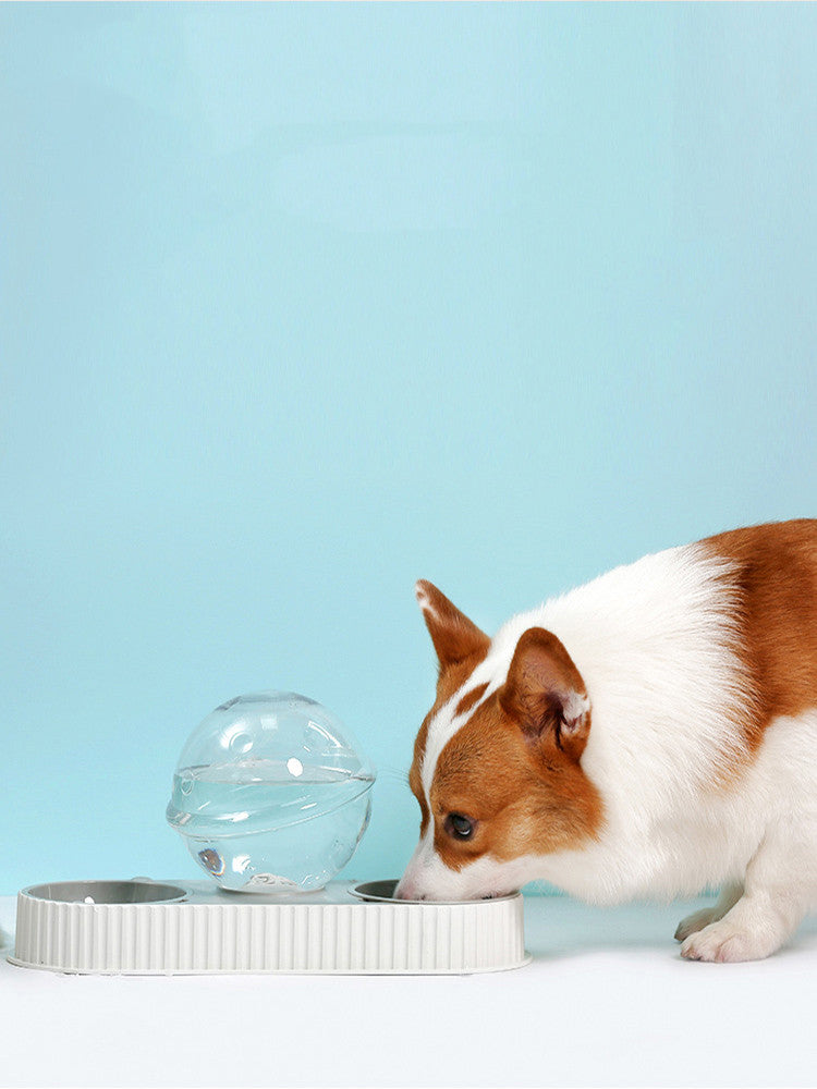 Pet Automatic Feeding And Drinking Bowl Water Dispenser