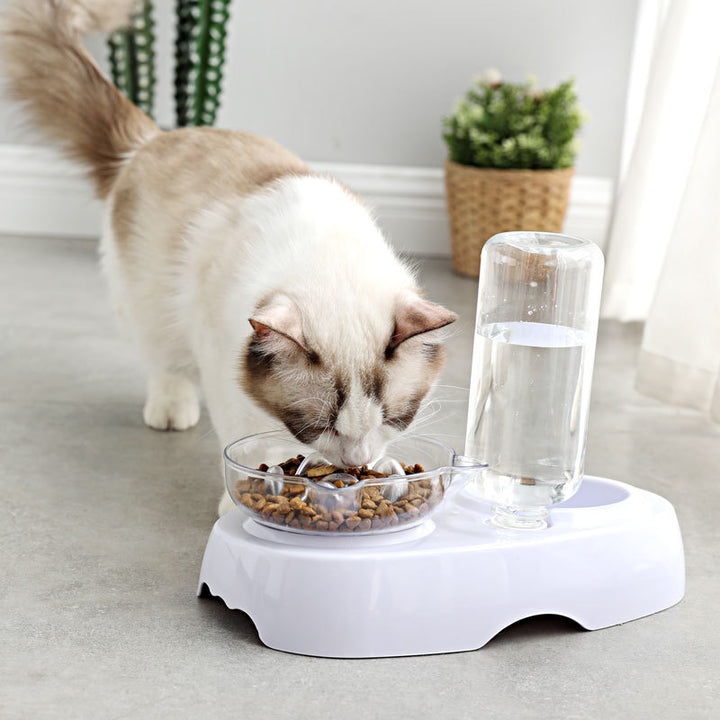 Pet Transparent Plastic Feeding And Drinking Bowl