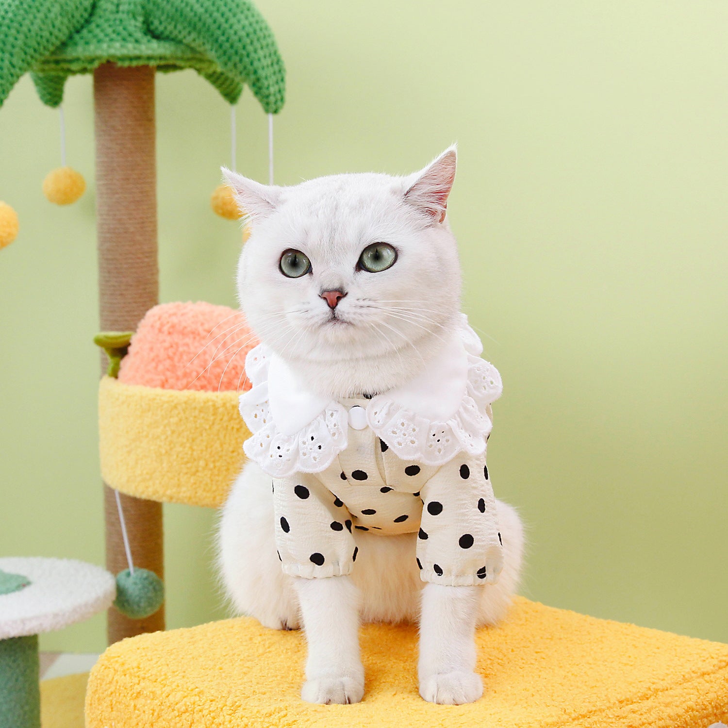 Lightweight Fringe-collar Pet Shirt