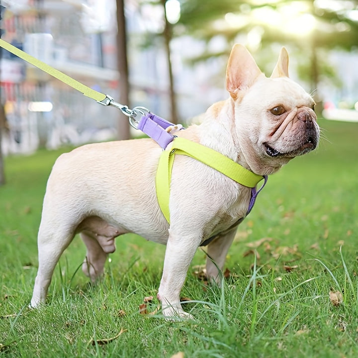 Rainbow Colorblock Pet Vest Harness Secure Control Leash