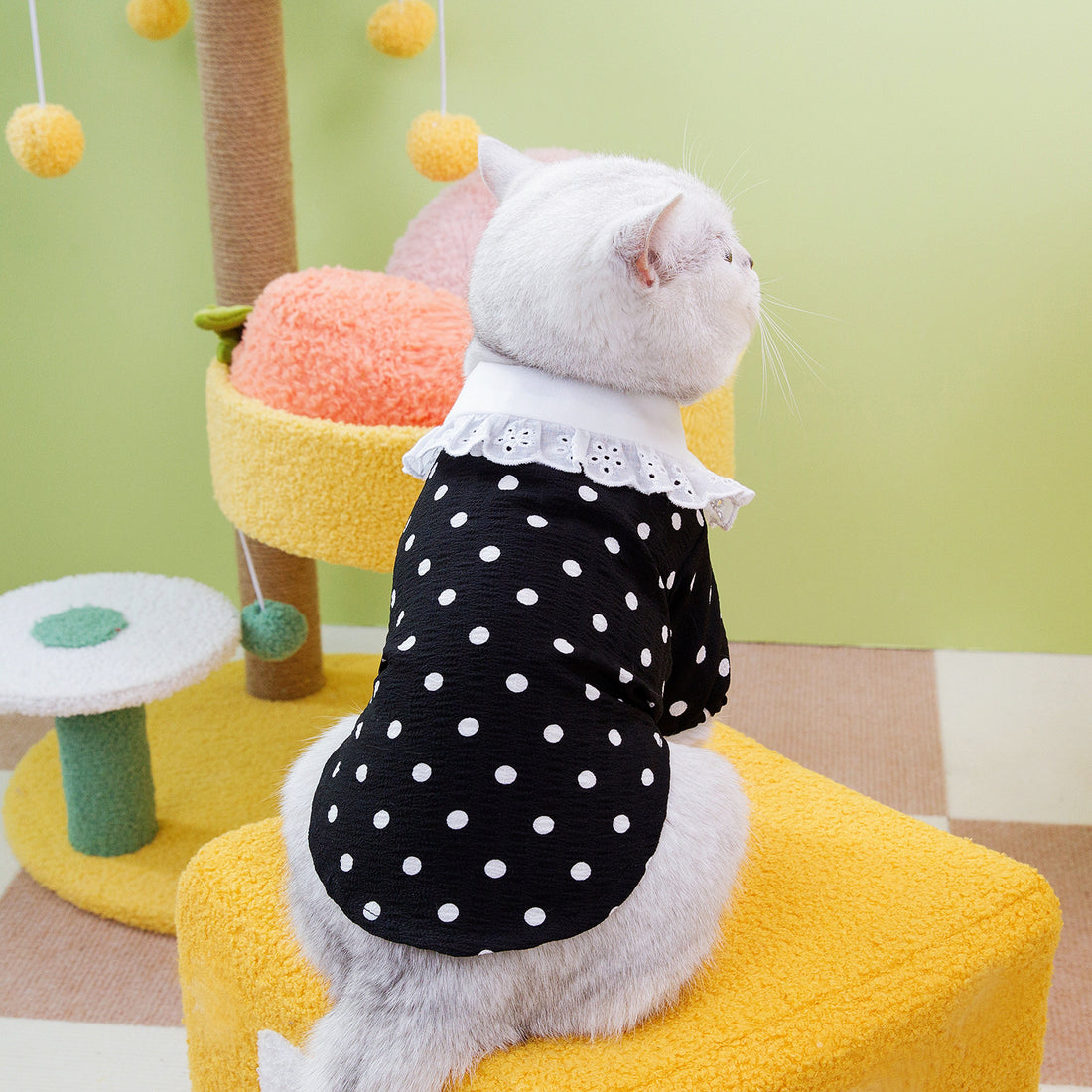 Lightweight Fringe-collar Pet Shirt