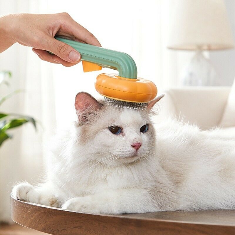 Pet Pumpkin Self Cleaning Slicker Grooming Brush Hair Removal Tool