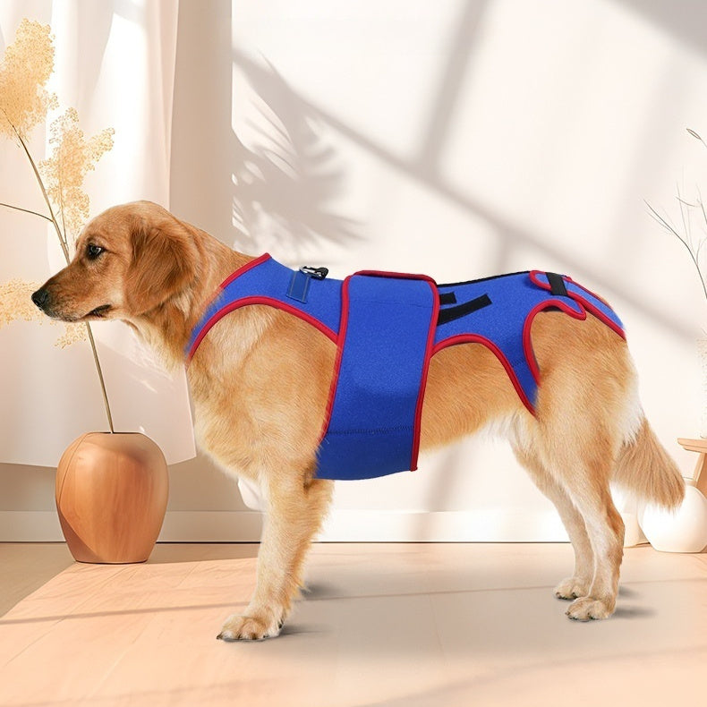 Pet Spine Support/Posture Correction Jacket