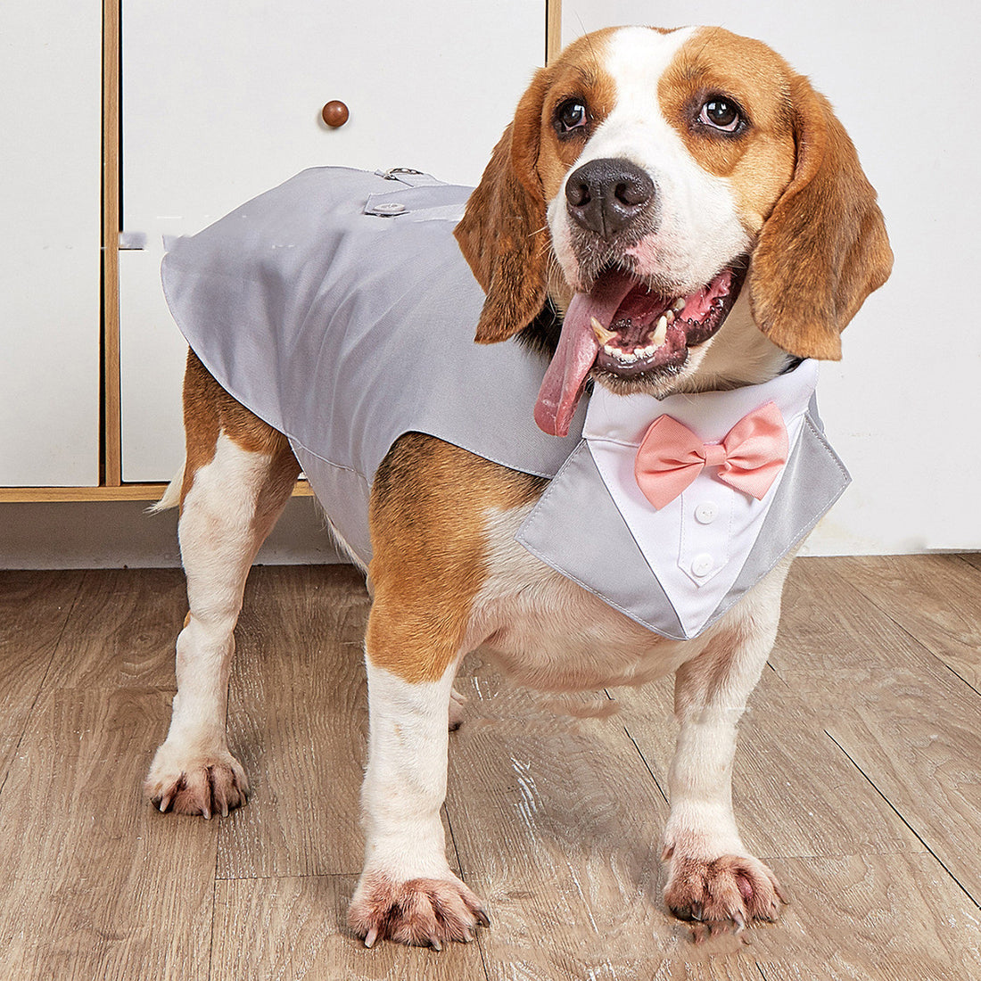 Two-piece Pet Tuxedo Suit Set