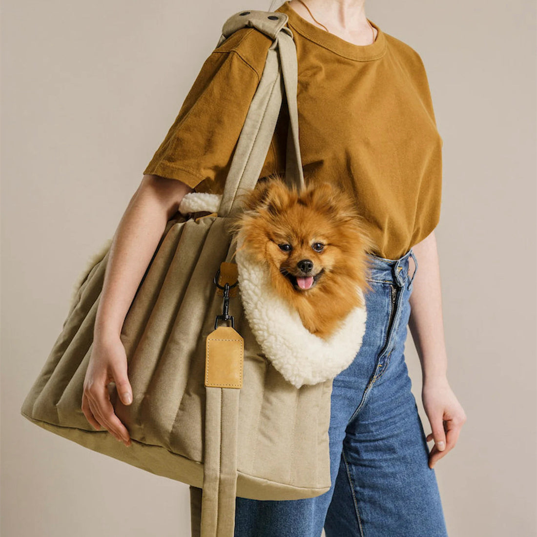 Waterproof Lightweight Portable Pet Carrier Handbag Travel Accessory
