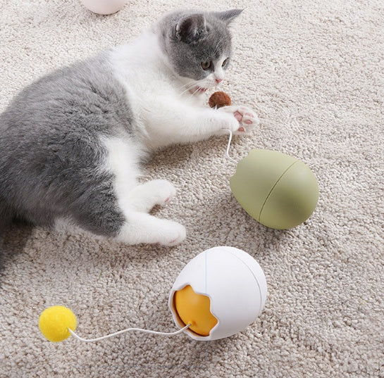 Pet Funny Interactive Artifact Toy Set