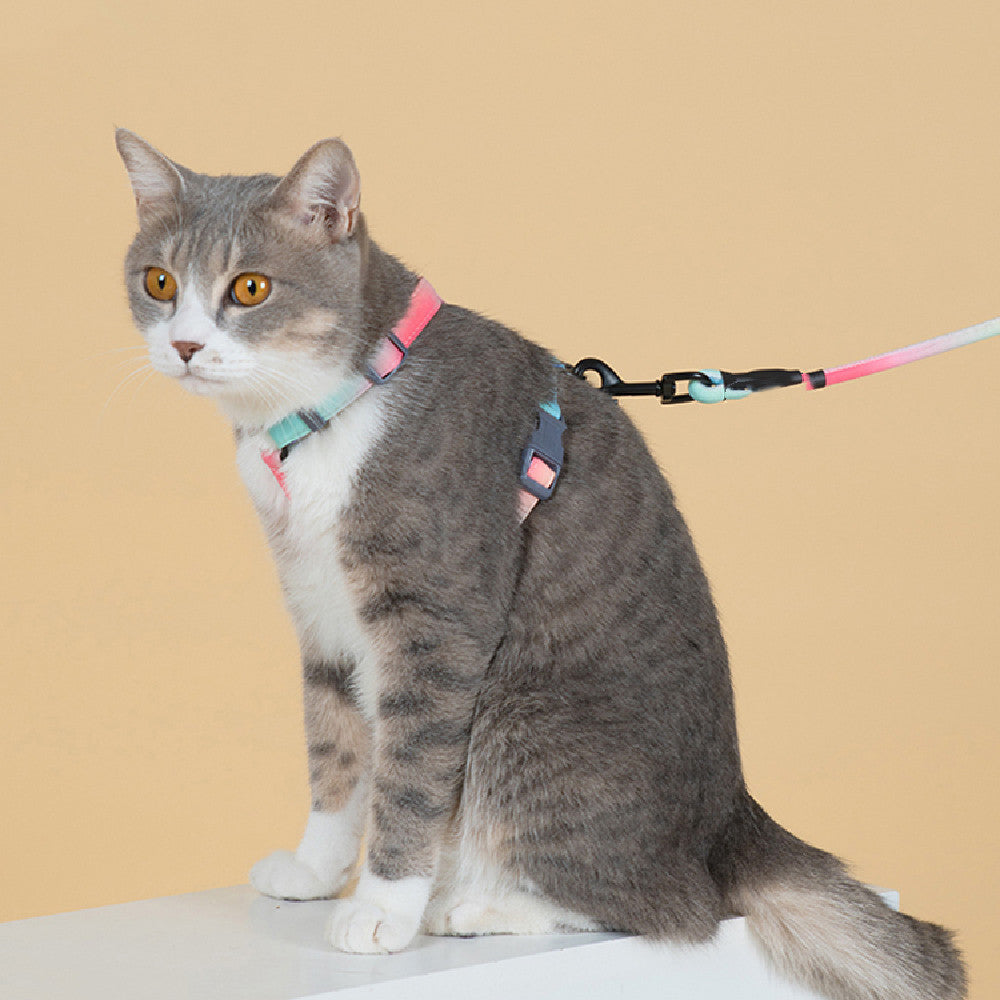 Fashion Anti Escape Pet Harness Secure Control Leash