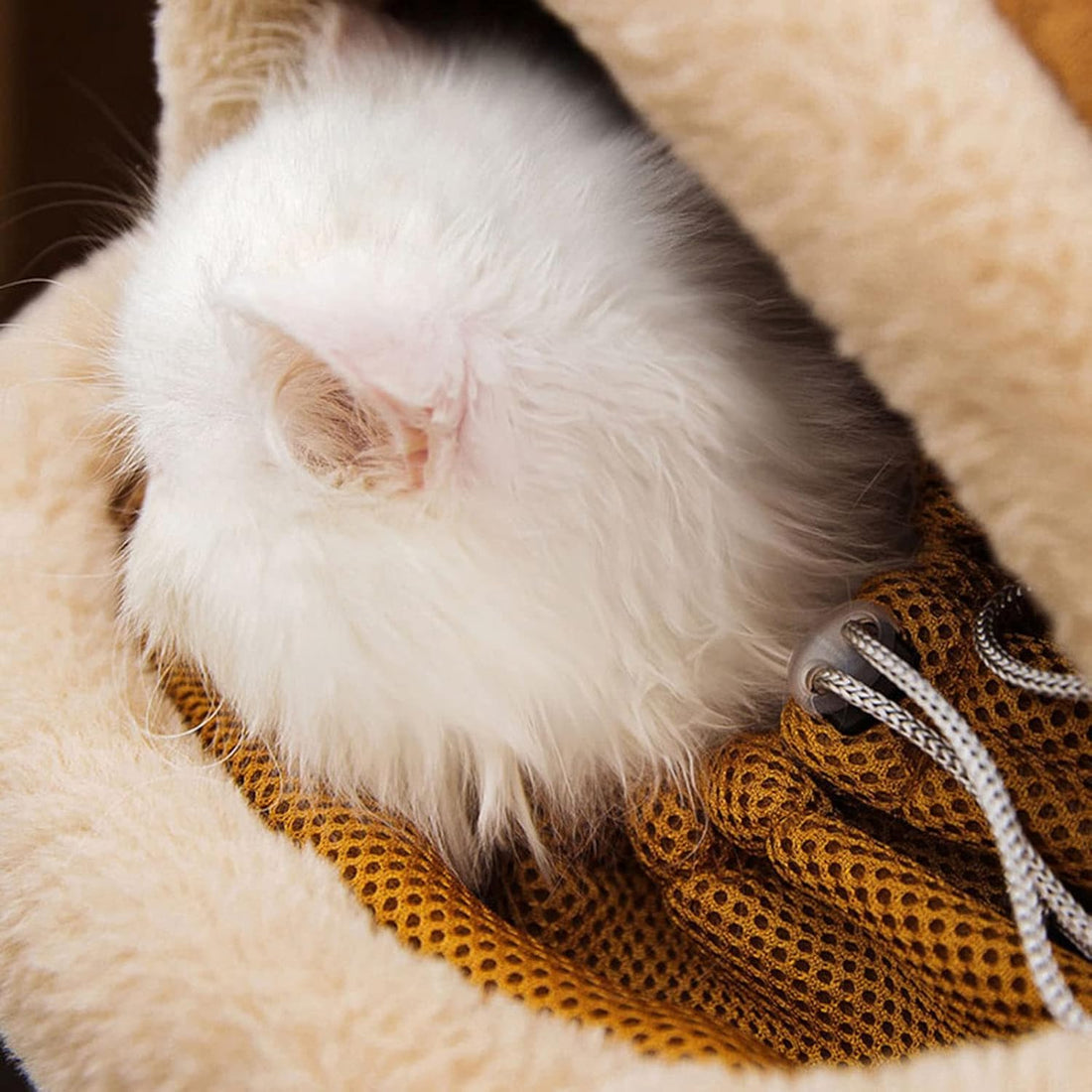 Winter Pet Carrier Backpack Travel Bag with Hand Warmers
