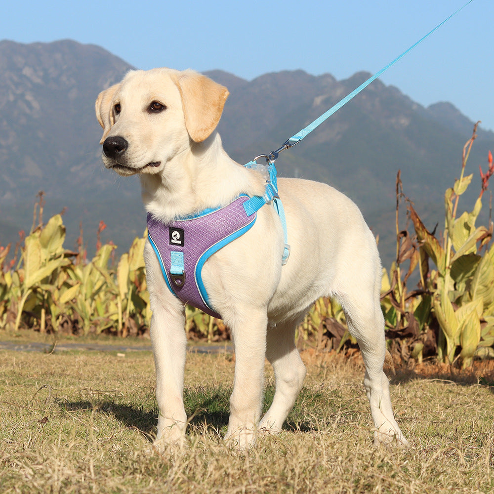 Pet Breathable Adjustable Harness Leash Set