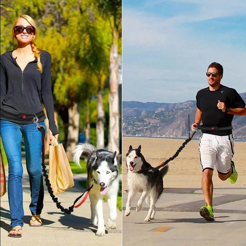Adjustable Jogging Pet Harness Collar Control Leash