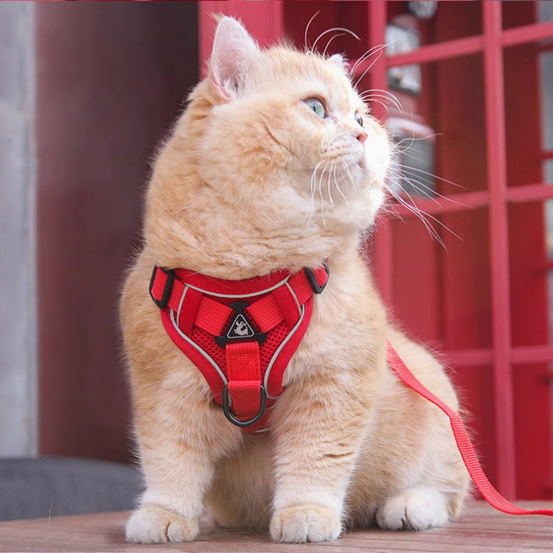 Pet Harness Vest Chest Strap With Leash Set