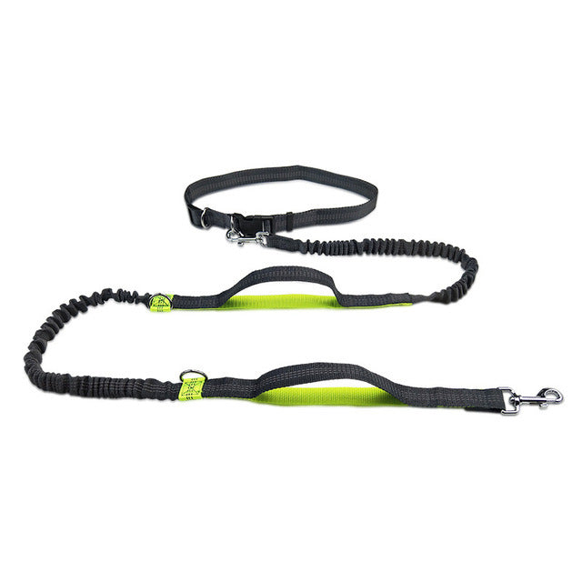 Adjustable Jogging Pet Harness Collar Control Leash