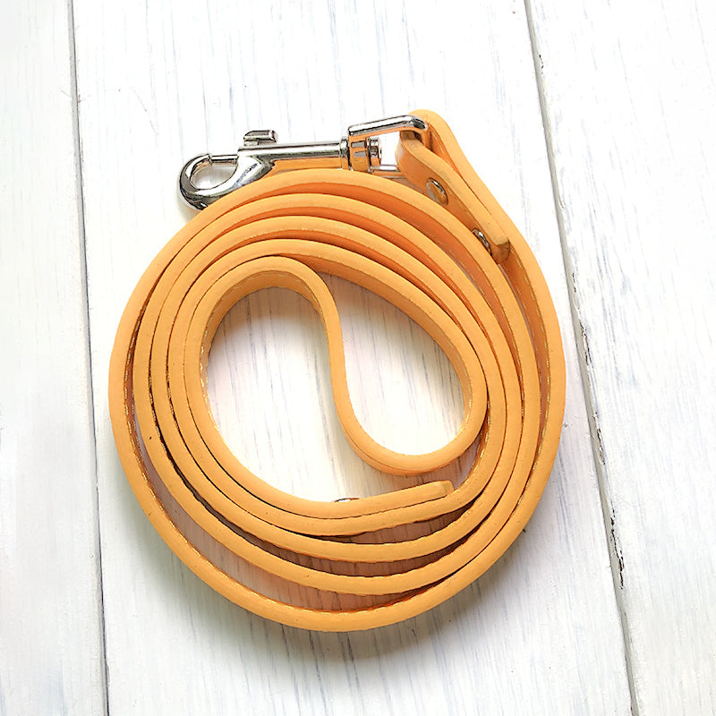 Durable Adjustable Pet Leash And Collar Control Set