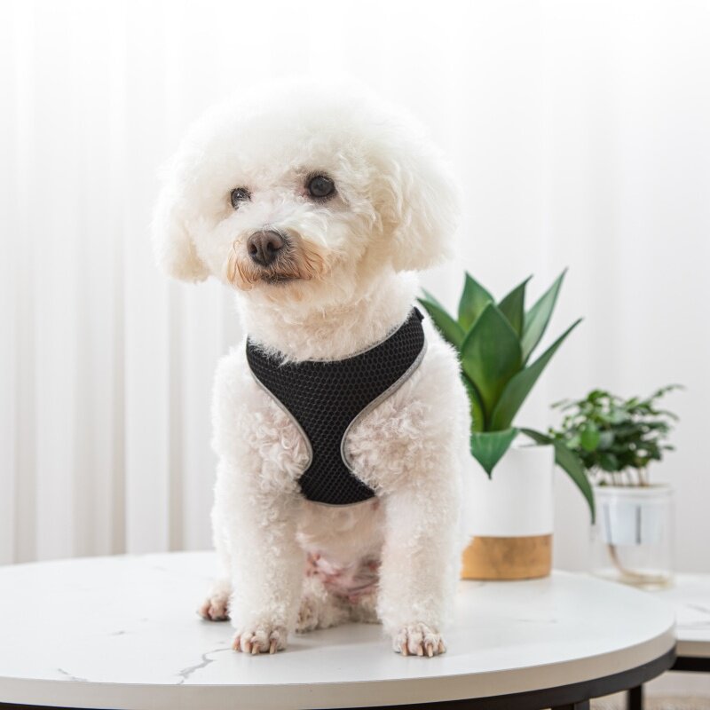 Pet Vest Style Walking Harness With Leash For Outdoor Use