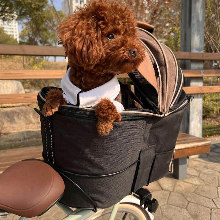Foldable Canvas Bicycle Rear-Seat Carrier/Bag