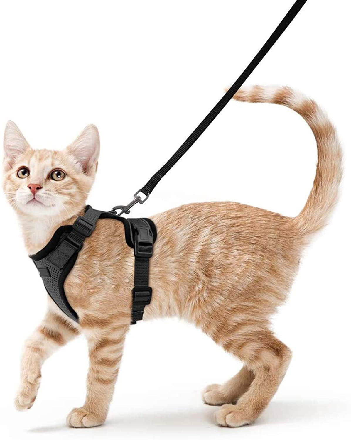 Adjustable Vest Style Pet Anti Escape Harness Leash