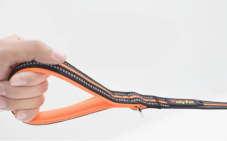 Durable Nylon Pet Retractable Assisted Control Leash