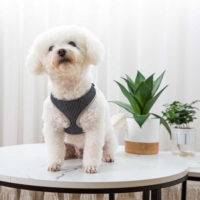 Pet Vest Style Walking Harness With Leash For Outdoor Use