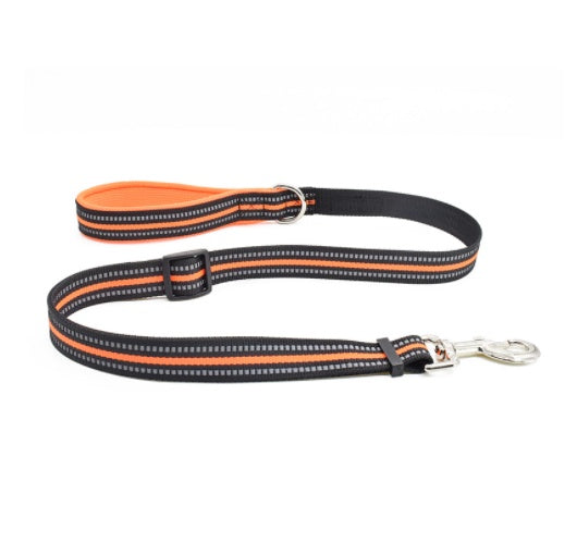 Durable Nylon Pet Retractable Assisted Control Leash