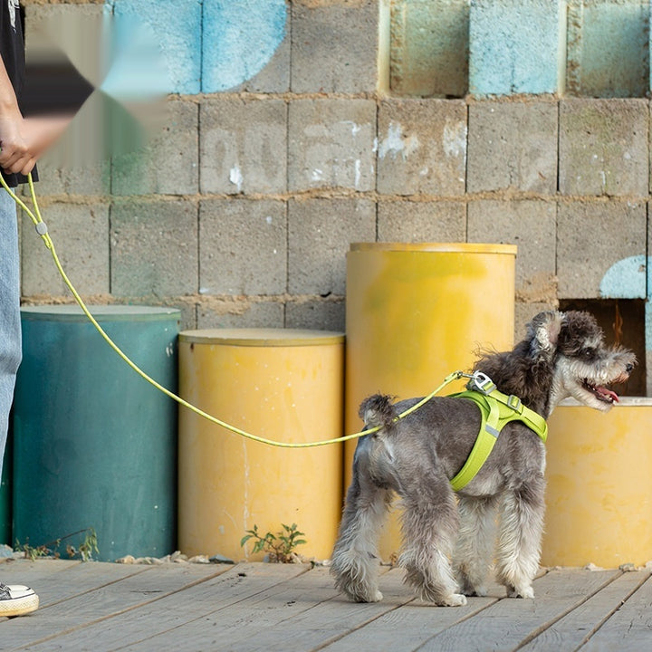 Colorful Adjustable Sliding Pet Control Leash Harness