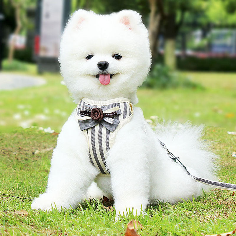 Adjustable Vest Style Pet Chest Strap Leash Harness