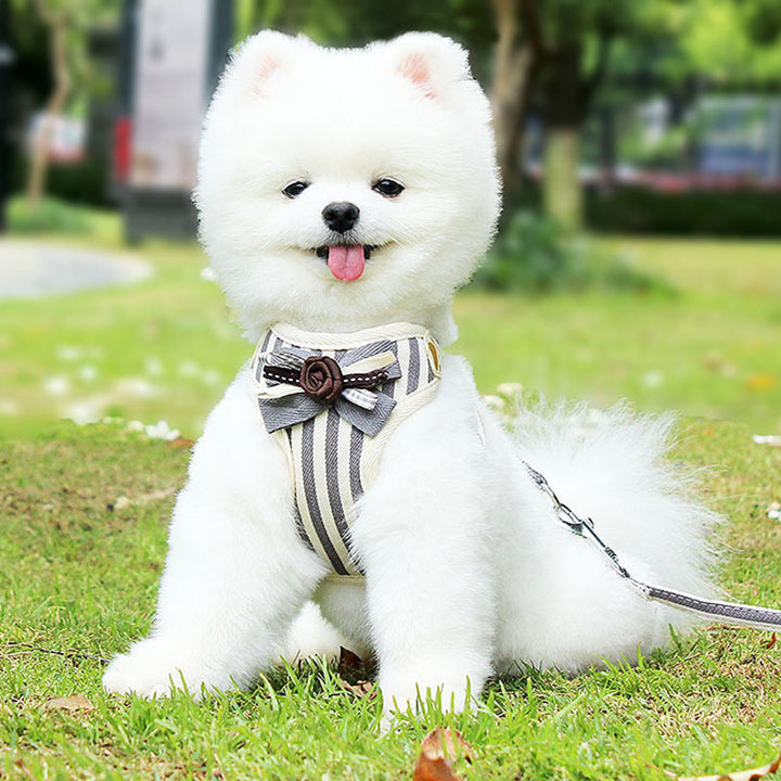 Adjustable Vest Style Pet Chest Strap Leash Harness