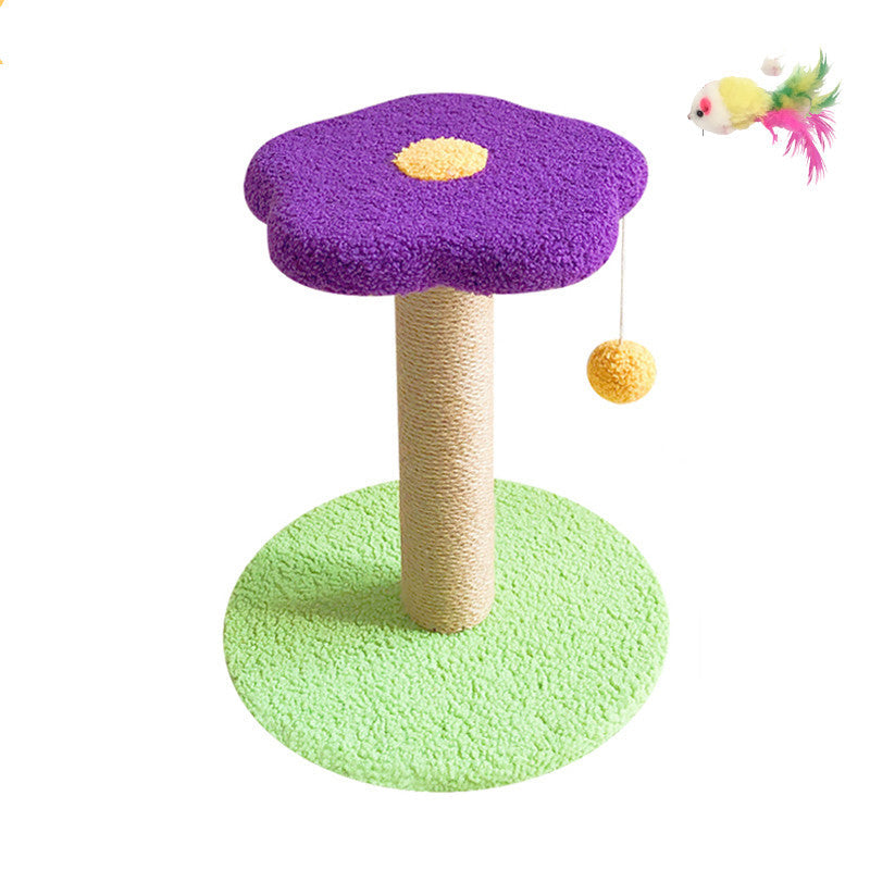 Pet Claw Grinding Teasing Toy Activity Set