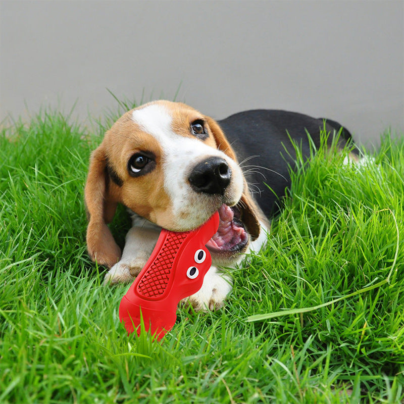Pet Vocal Rubber Teething Chew Ball Toy