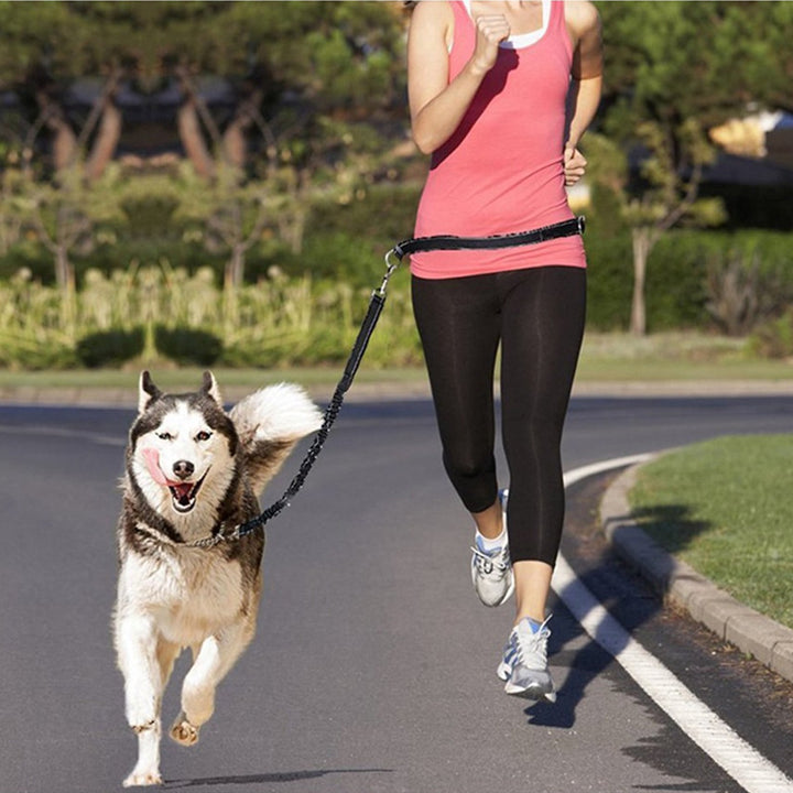 Adjustable Jogging Pet Harness Collar Control Leash