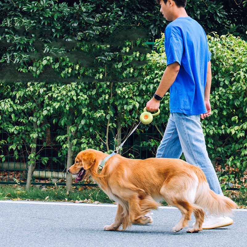 Reflective Retractable Pet Rope Control Leash Durable