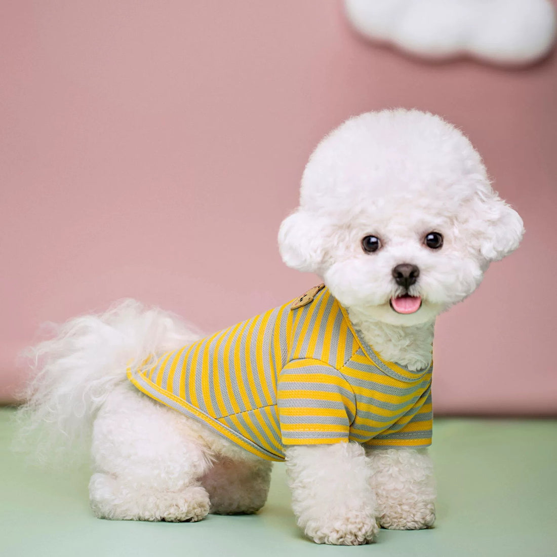 Summer Breathable Pet T-Shirt