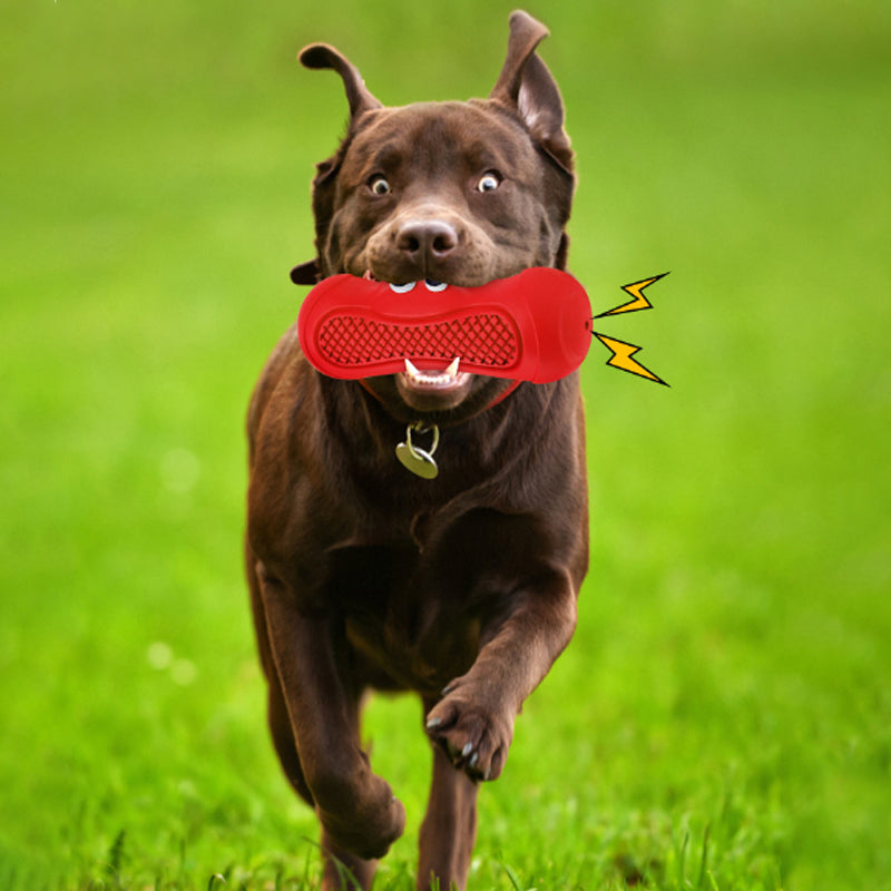 Pet Vocal Rubber Teething Chew Ball Toy
