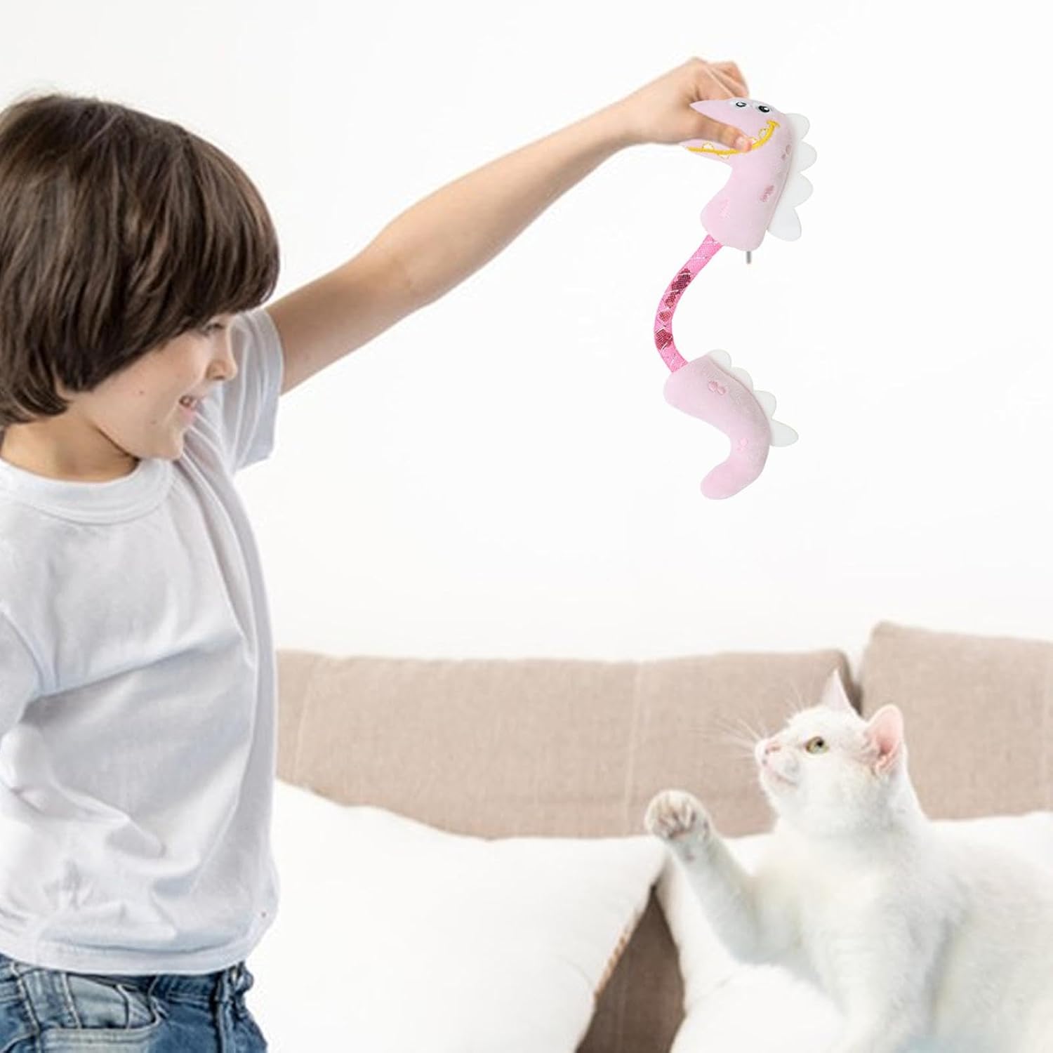 Pet Chew Rope Teeth Cleaning Catnip Spring Kicker Toy Set