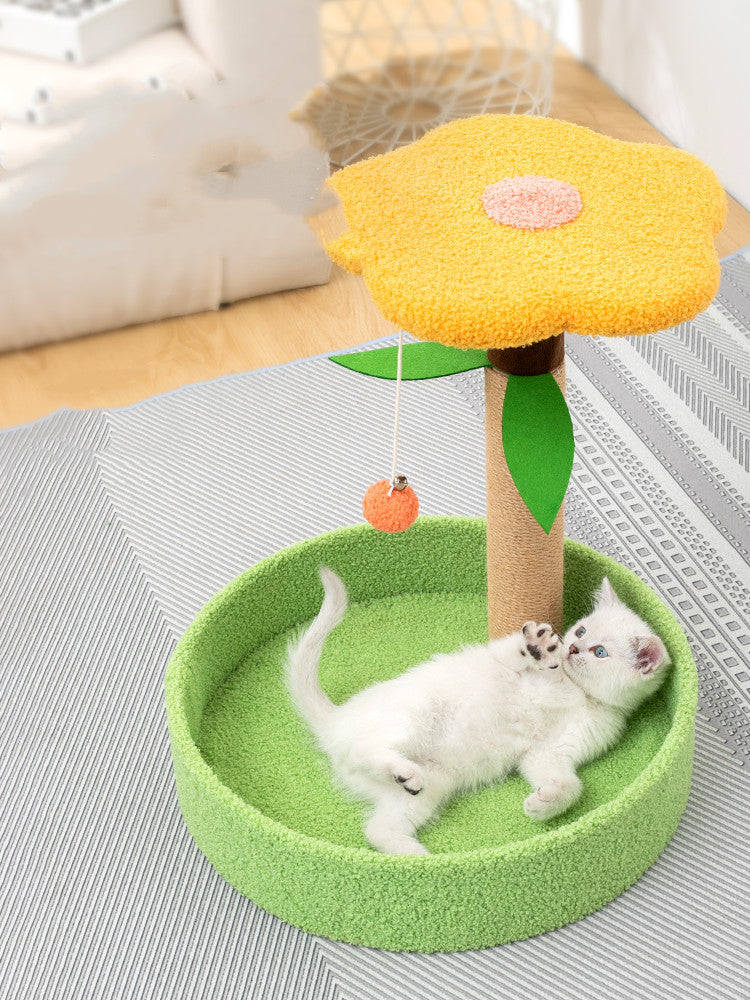 Pet Claw Grinding Teasing Toy Activity Set